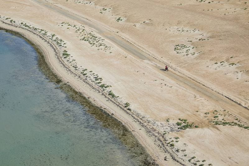 Motorsport. Dakar Rally. Stage 13. 17.01.2026