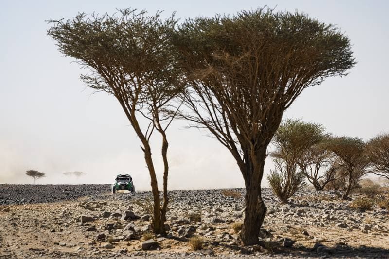 Motorsport. Dakar Rally. Stage 9. 13.01.2026