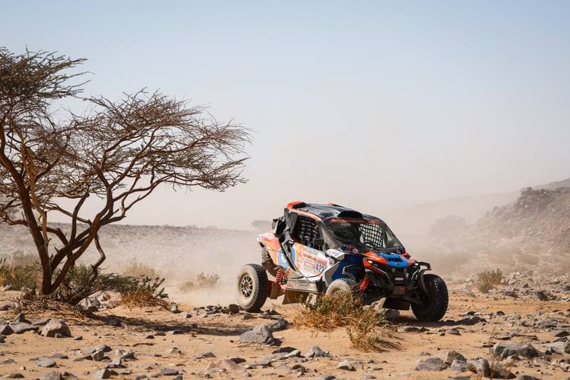 Motorsport. Dakar Rally. Stage 9. 13.01.2026
