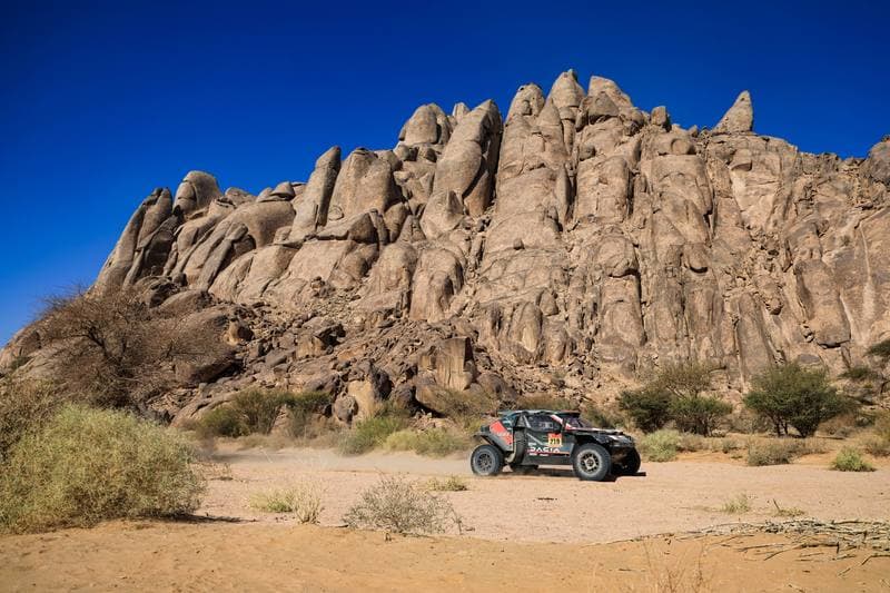 Motorsport. Dakar Rally. Stage 9. 13.01.2026