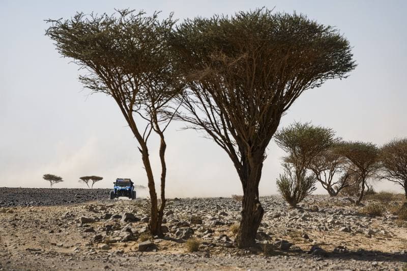 Motorsport. Dakar Rally. Stage 9. 13.01.2026