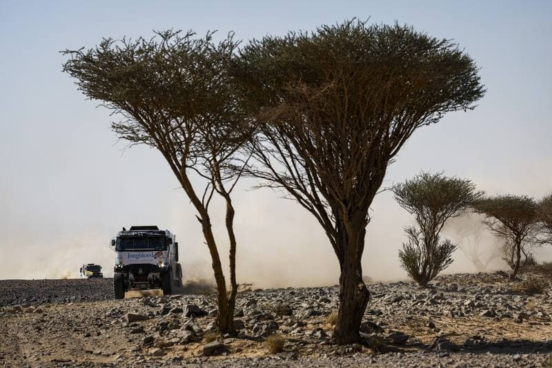 Motorsport. Dakar Rally. Stage 9. 13.01.2026