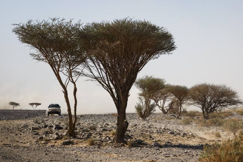 Motorsport. Dakar Rally. Stage 9. 13.01.2026