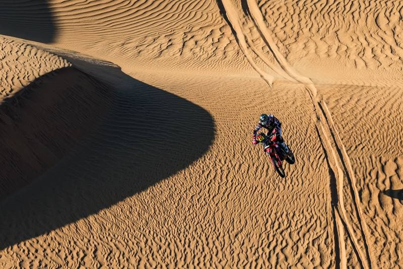 Motorsport. Dakar Rally. Stage 9. 13.01.2026