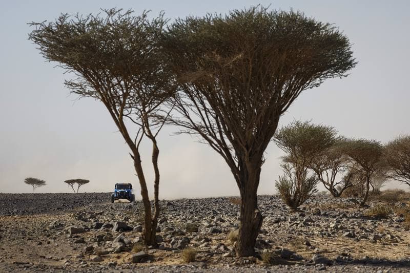 Motorsport. Dakar Rally. Stage 9. 13.01.2026