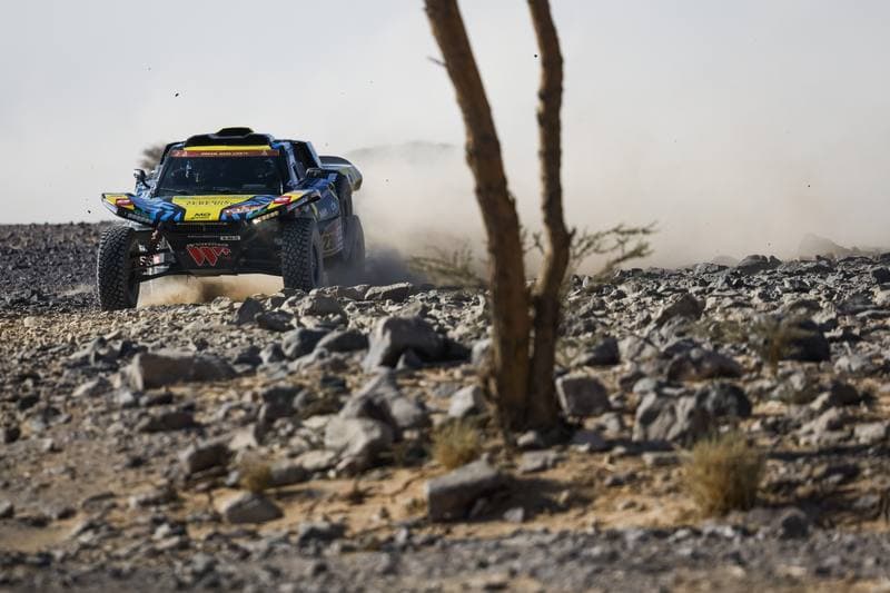 Motorsport. Dakar Rally. Stage 9. 13.01.2026