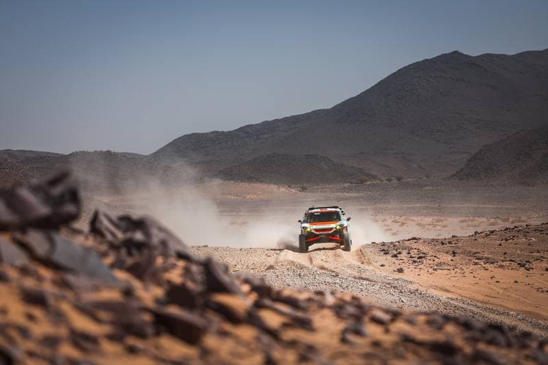 Motorsport. Dakar Rally. Stage 9. 13.01.2026