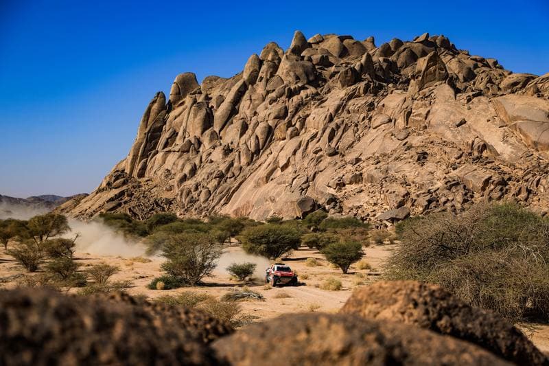 Motorsport. Dakar Rally. Stage 9. 13.01.2026