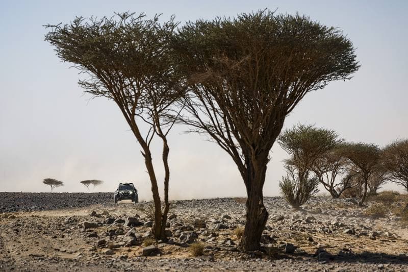 Motorsport. Dakar Rally. Stage 9. 13.01.2026