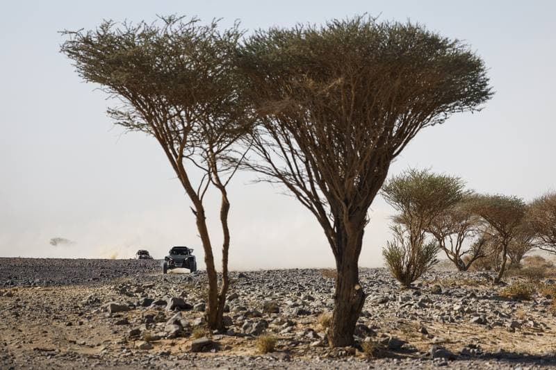 Motorsport. Dakar Rally. Stage 9. 13.01.2026
