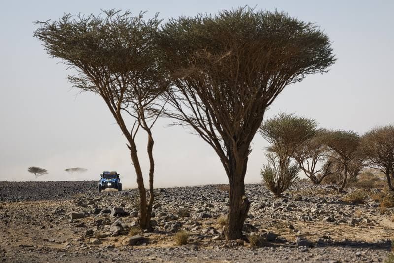 Motorsport. Dakar Rally. Stage 9. 13.01.2026