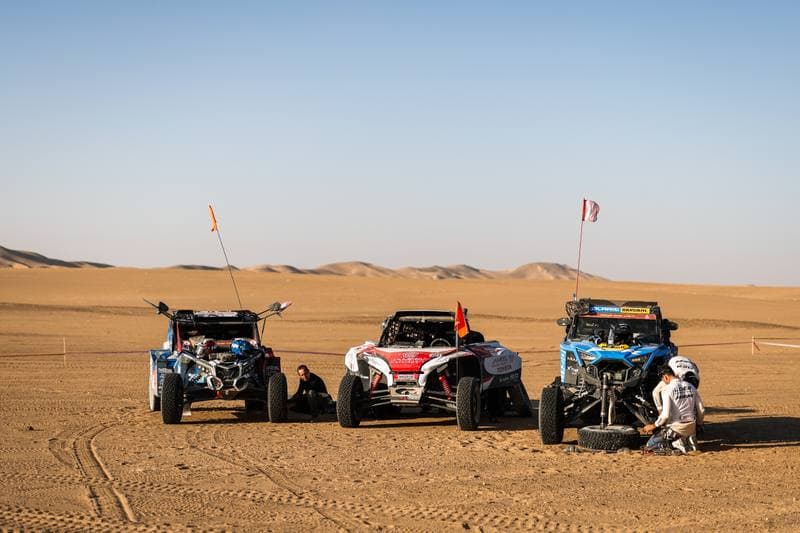 Motorsport. Dakar Rally. Stage 9. 13.01.2026