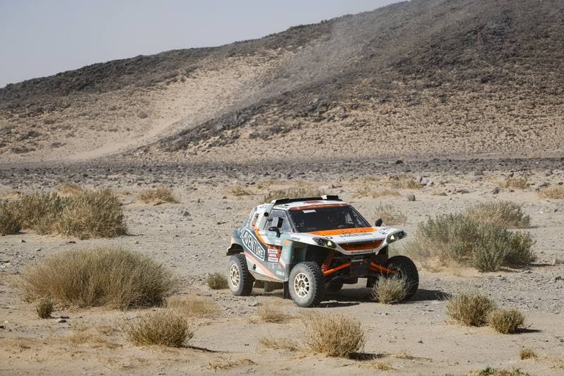 Motorsport. Dakar Rally. Stage 9. 13.01.2026
