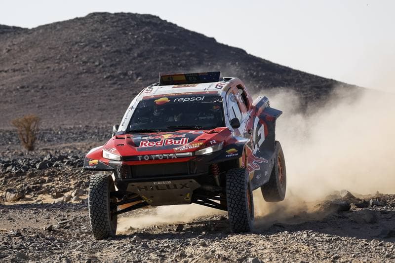 Motorsport. Dakar Rally. Stage 9. 13.01.2026