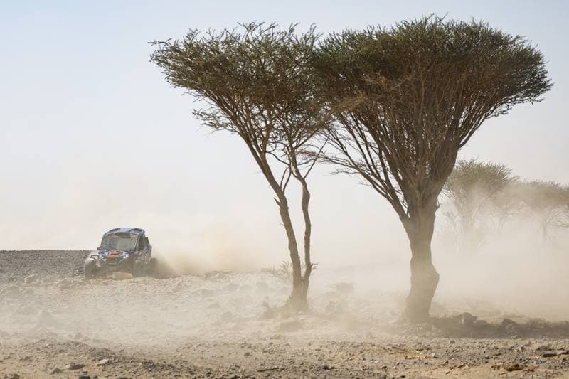 Motorsport. Dakar Rally. Stage 9. 13.01.2026