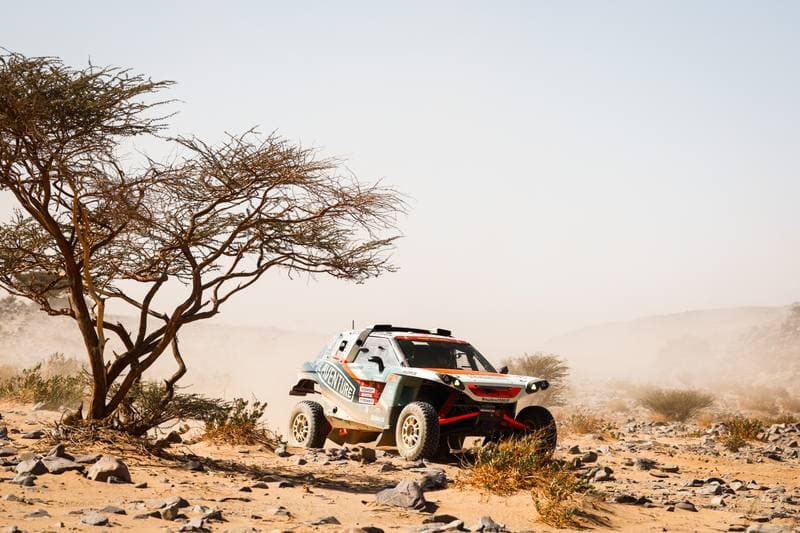 Motorsport. Dakar Rally. Stage 9. 13.01.2026