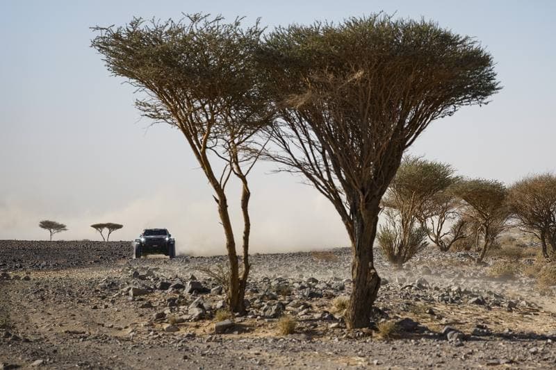 Motorsport. Dakar Rally. Stage 9. 13.01.2026