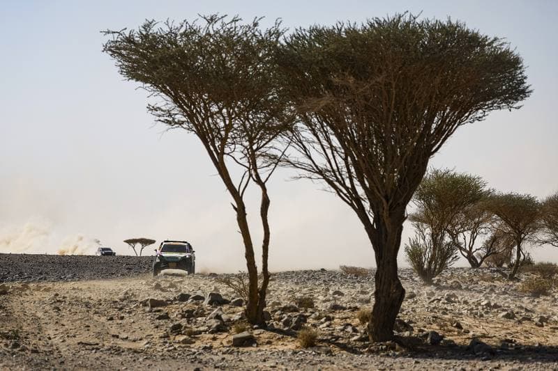 Motorsport. Dakar Rally. Stage 9. 13.01.2026