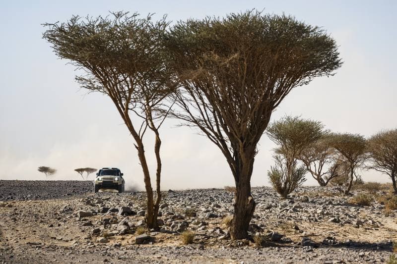 Motorsport. Dakar Rally. Stage 9. 13.01.2026