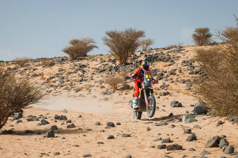 Motorsport. Dakar Rally. Stage 11. 15.01.2026
