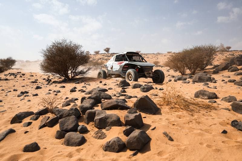 Motorsport. Dakar Rally. Stage 11. 15.01.2026