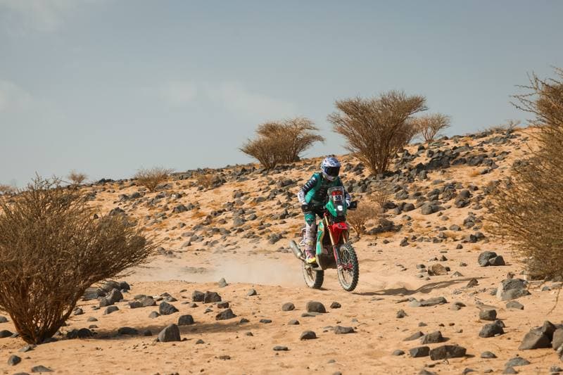 Motorsport. Dakar Rally. Stage 11. 15.01.2026