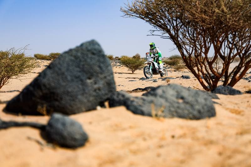 Motorsport. Dakar Rally. Stage 11. 15.01.2026