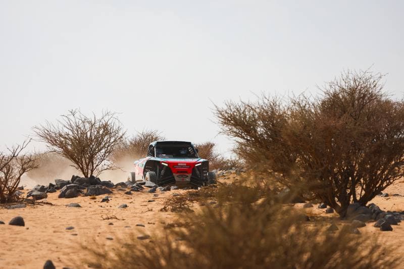 Motorsport. Dakar Rally. Stage 11. 15.01.2026