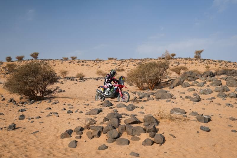Motorsport. Dakar Rally. Stage 11. 15.01.2026