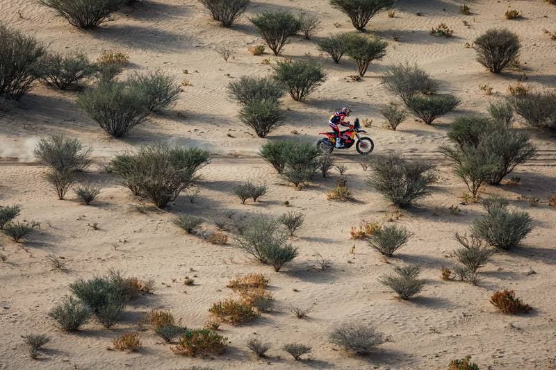 Motorsport. Dakar Rally. Stage 11. 15.01.2026