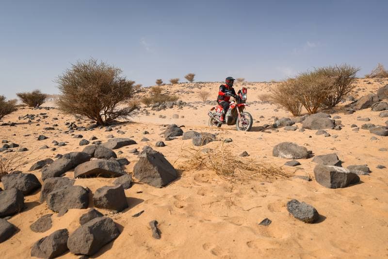 Motorsport. Dakar Rally. Stage 11. 15.01.2026