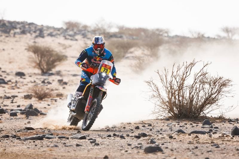Motorsport. Dakar Rally. Stage 11. 15.01.2026