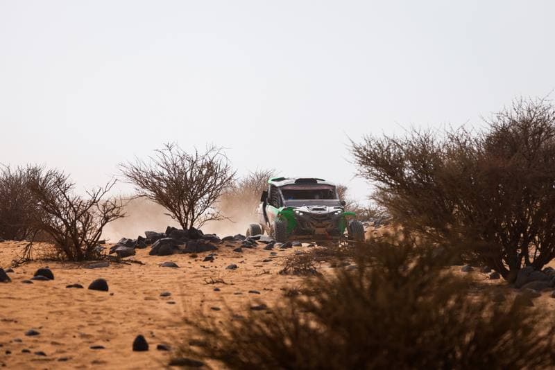 Motorsport. Dakar Rally. Stage 11. 15.01.2026