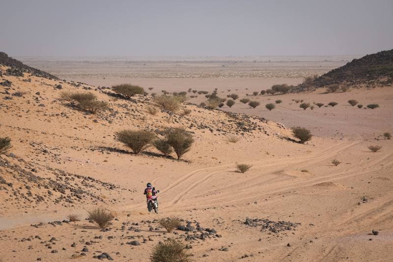 Motorsport. Dakar Rally. Stage 11. 15.01.2026