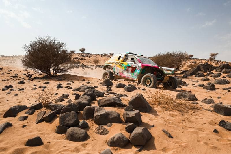 Motorsport. Dakar Rally. Stage 11. 15.01.2026