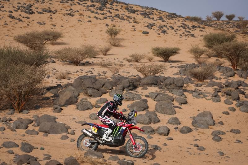 Motorsport. Dakar Rally. Stage 11. 15.01.2026