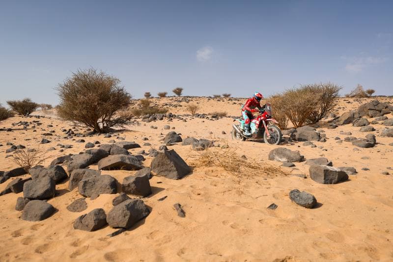 Motorsport. Dakar Rally. Stage 11. 15.01.2026
