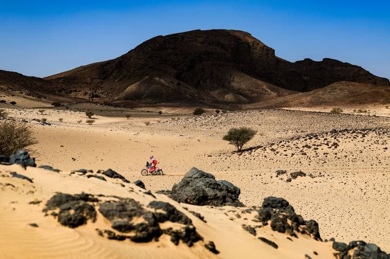 Motorsport. Dakar Rally. Stage 11. 15.01.2026