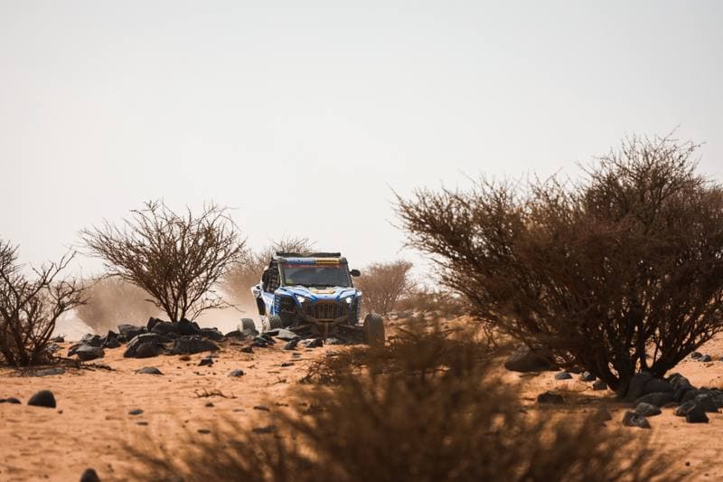 Motorsport. Dakar Rally. Stage 11. 15.01.2026