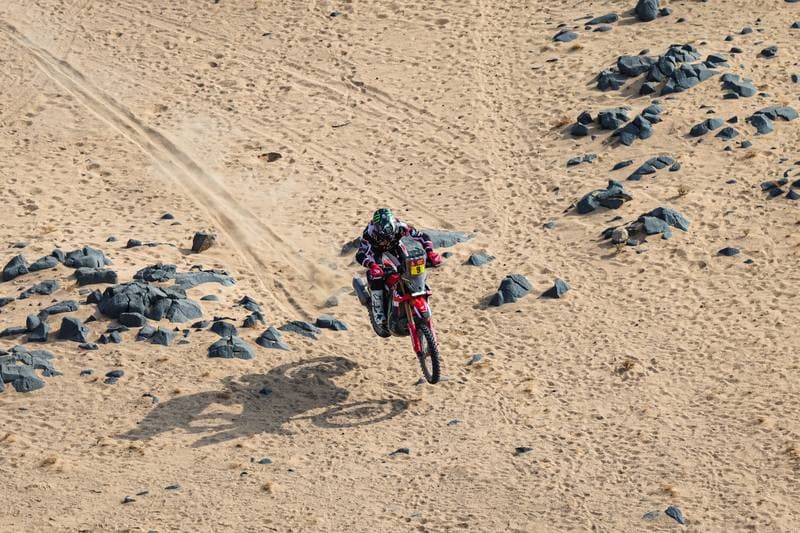 Motorsport. Dakar Rally. Stage 11. 15.01.2026
