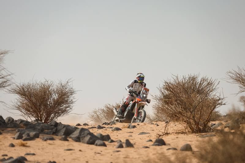 Motorsport. Dakar Rally. Stage 11. 15.01.2026
