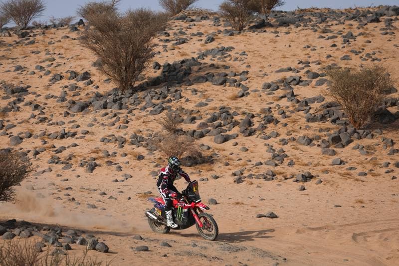 Motorsport. Dakar Rally. Stage 11. 15.01.2026
