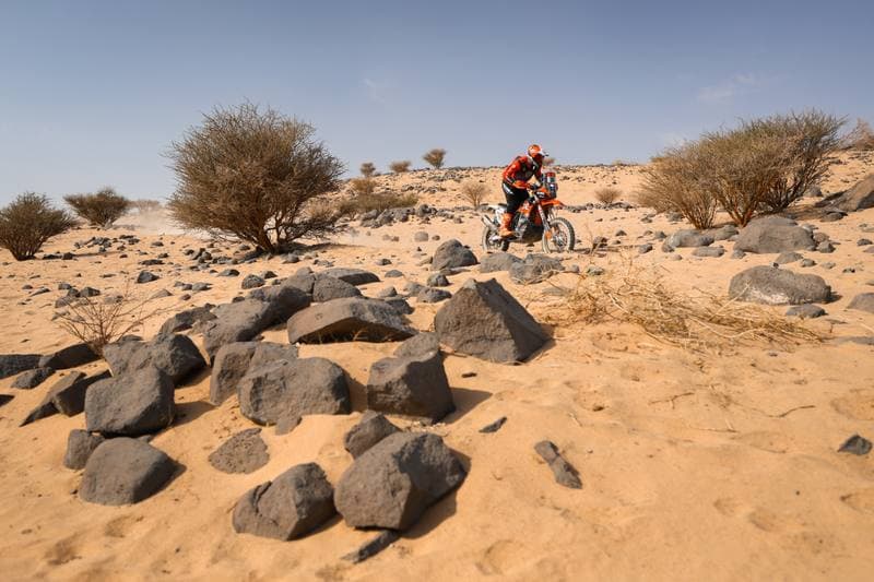 Motorsport. Dakar Rally. Stage 11. 15.01.2026