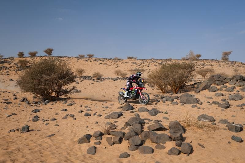 Motorsport. Dakar Rally. Stage 11. 15.01.2026