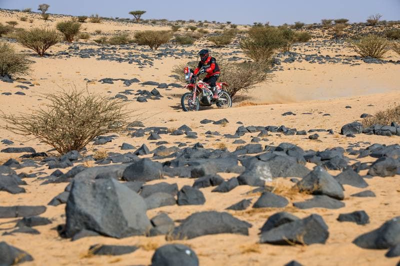 Motorsport. Dakar Rally. Stage 11. 15.01.2026