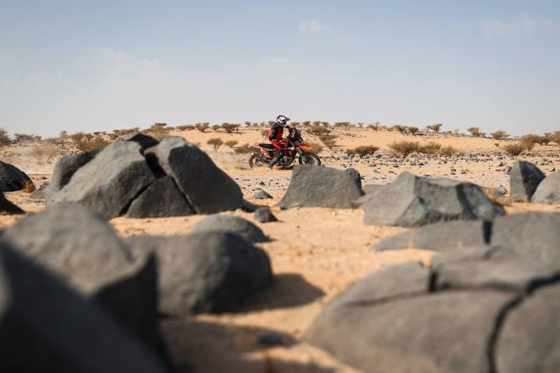 Motorsport. Dakar Rally. Stage 11. 15.01.2026