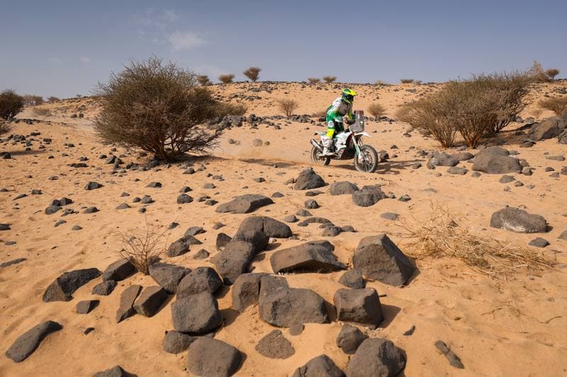Motorsport. Dakar Rally. Stage 11. 15.01.2026