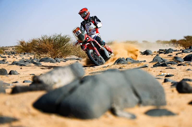 Motorsport. Dakar Rally. Stage 11. 15.01.2026