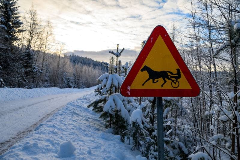 Motorsport. WRC. Rally Sweden. 12.02.2026