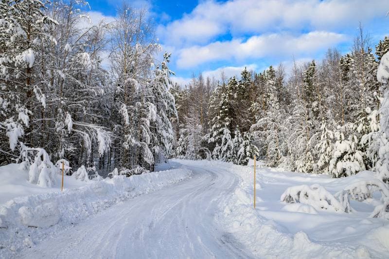 Motorsport. WRC. Rally Sweden. 12.02.2026